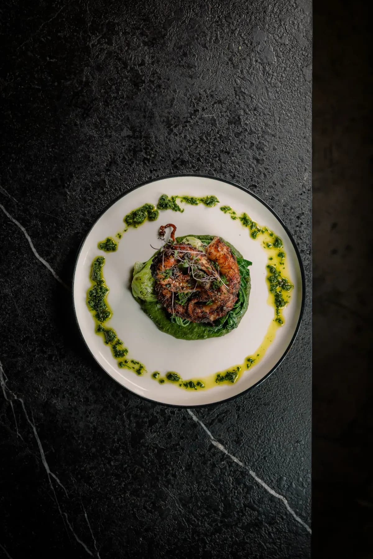 Grill Octopus